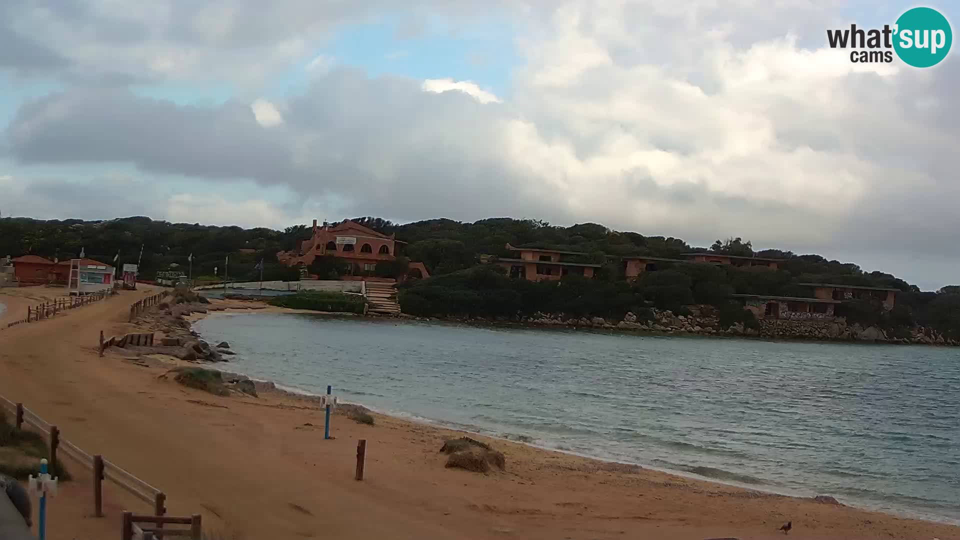 Porto Pollo spiaggia