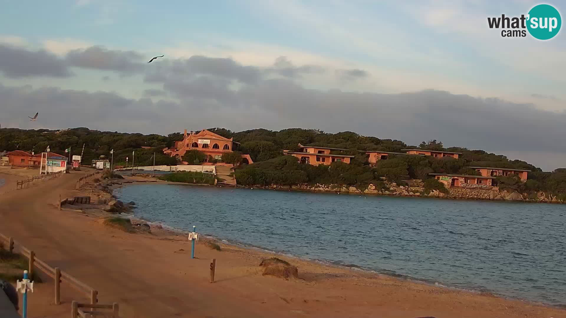 Porto Pollo spiaggia