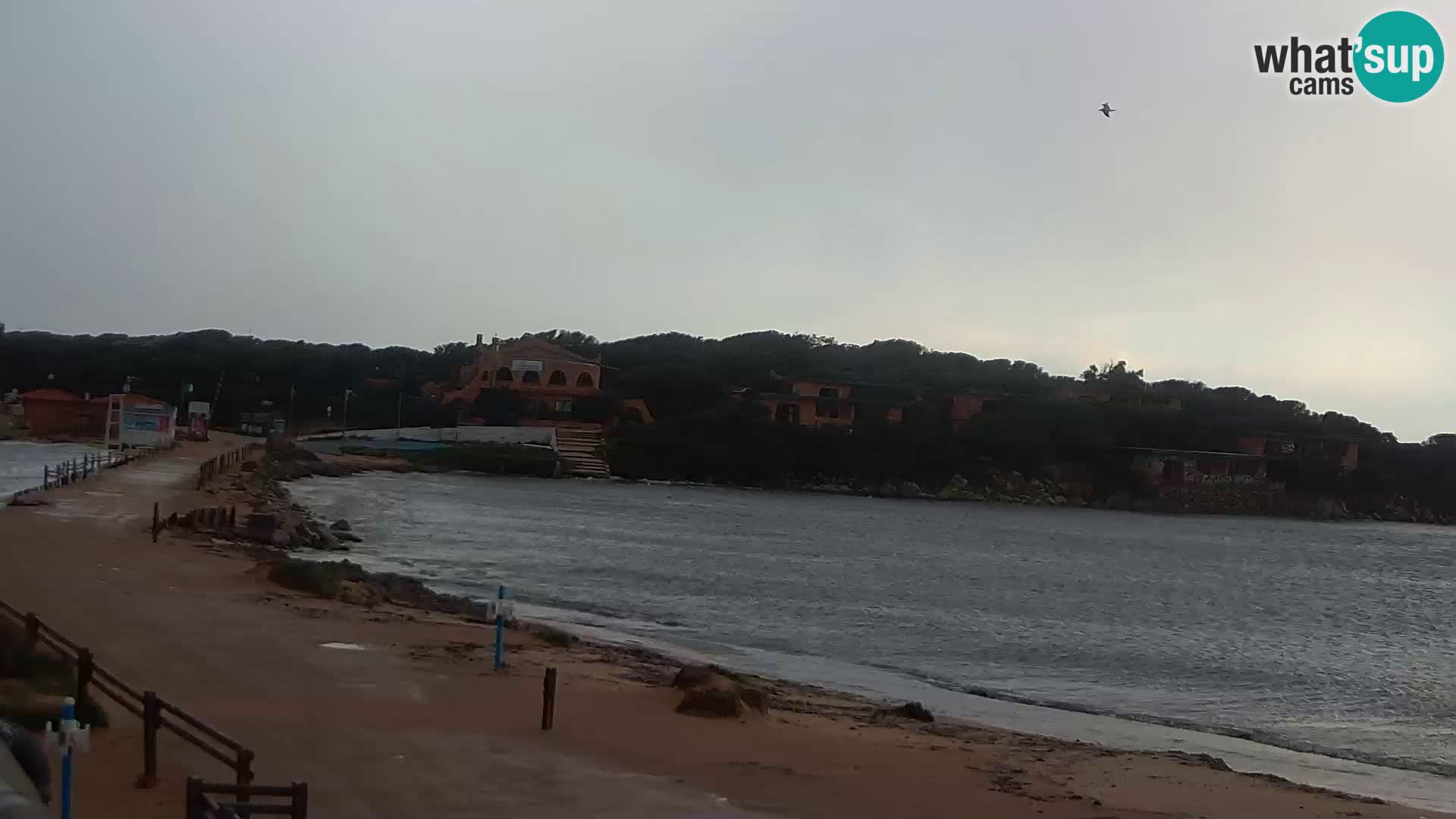 Porto Pollo spiaggia