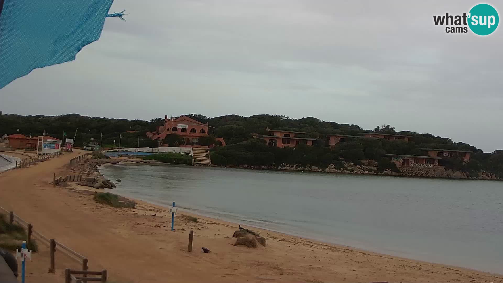 Porto Pollo spiaggia