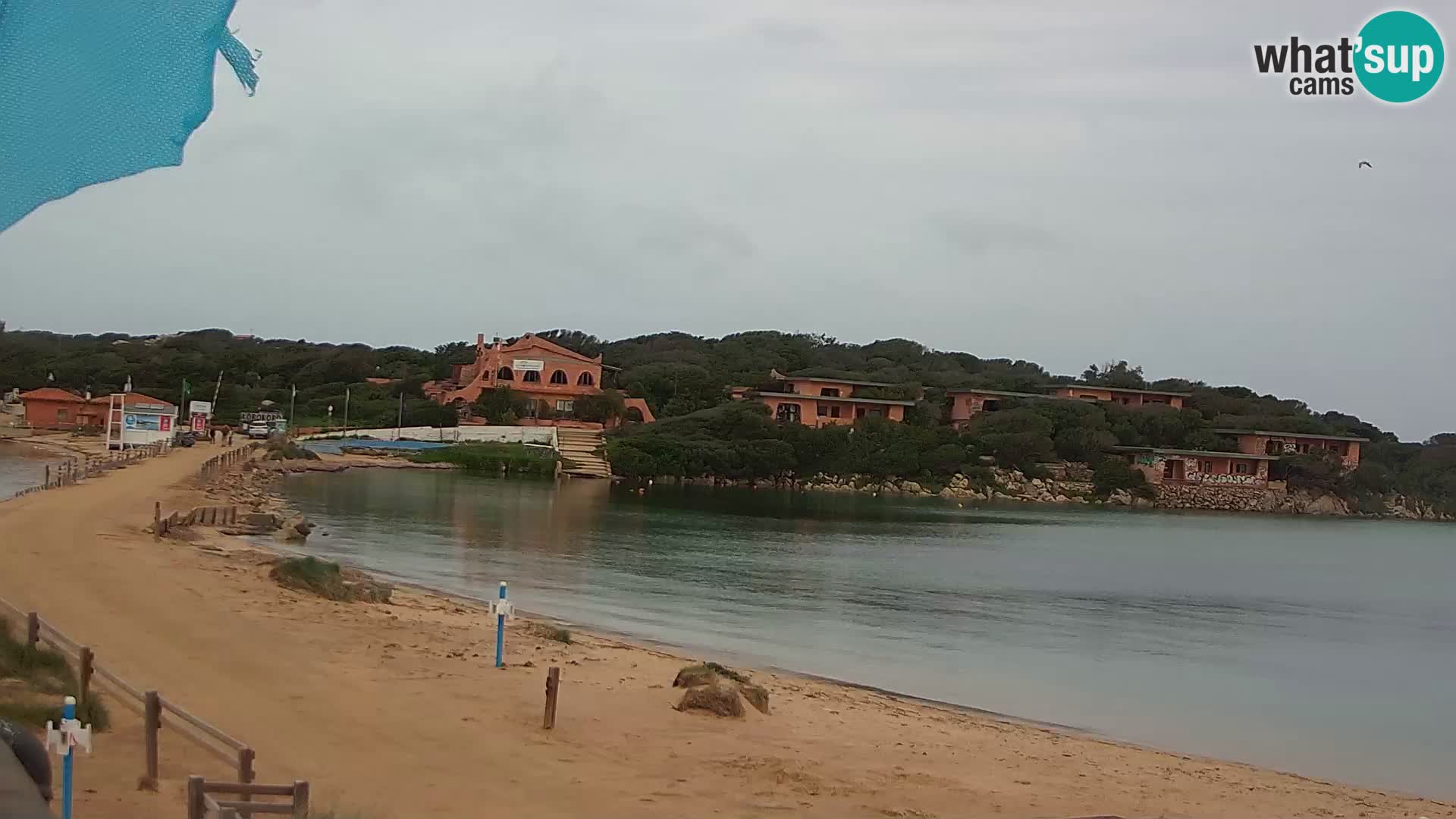 Porto Pollo plaža