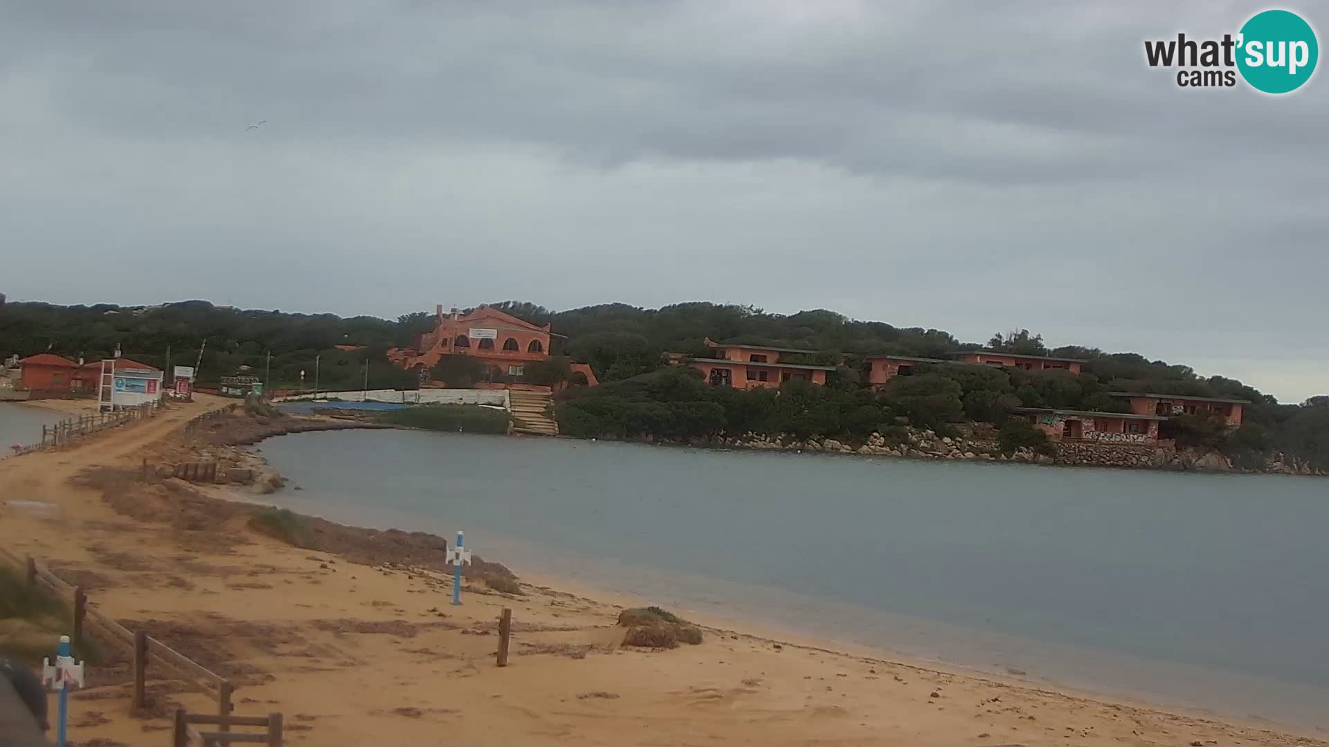 Porto Pollo spiaggia