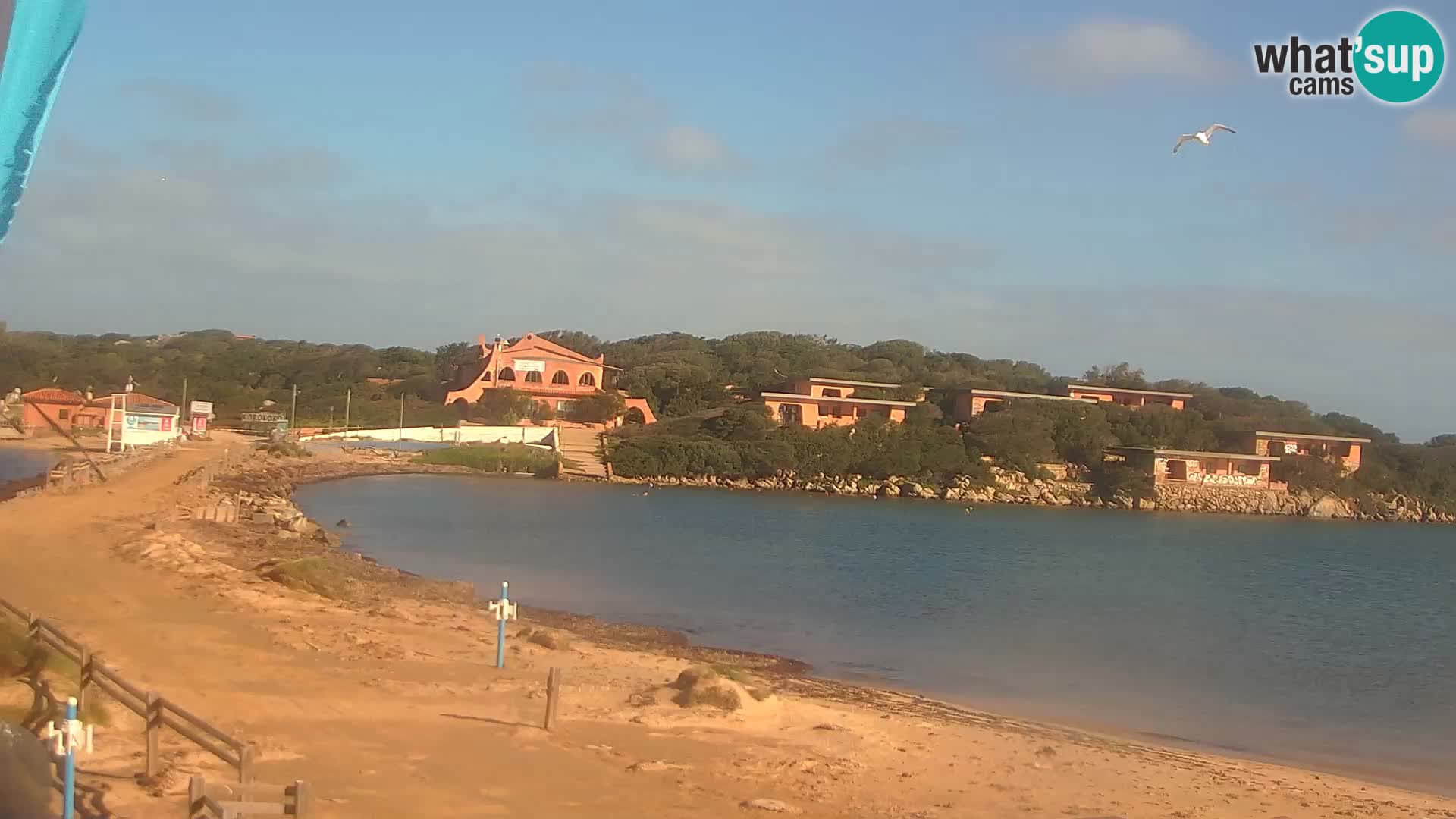 Porto Pollo spiaggia