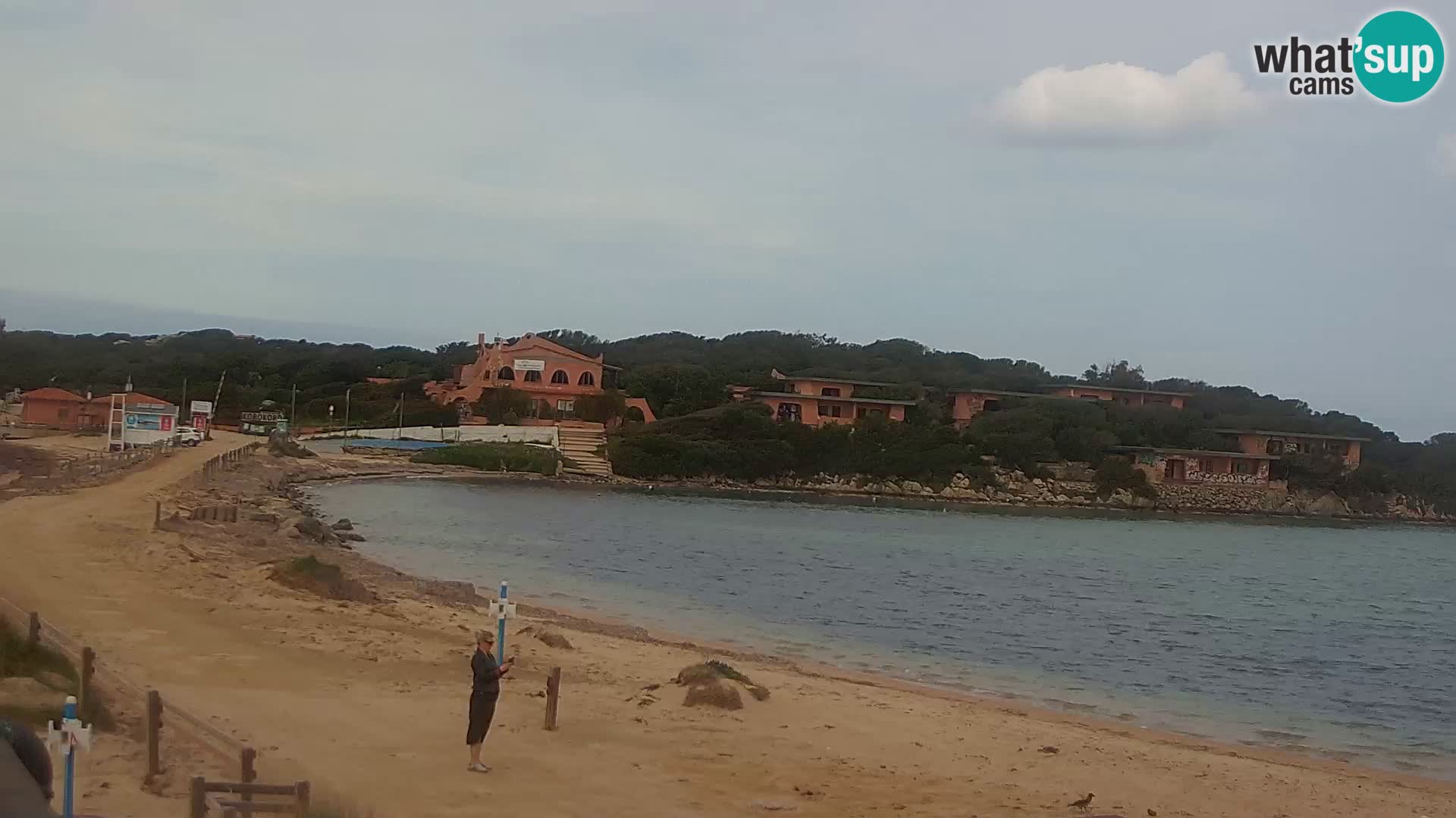 Porto Pollo spiaggia