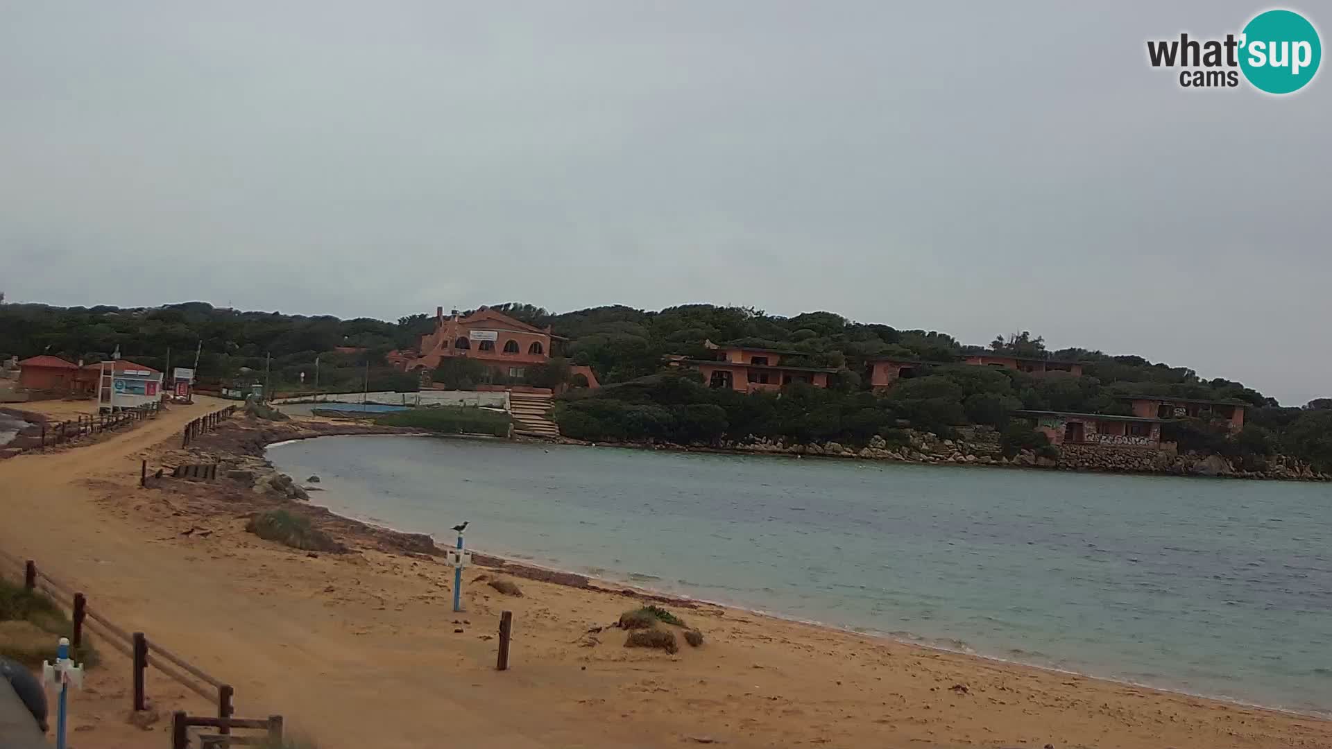 Porto Pollo Plage