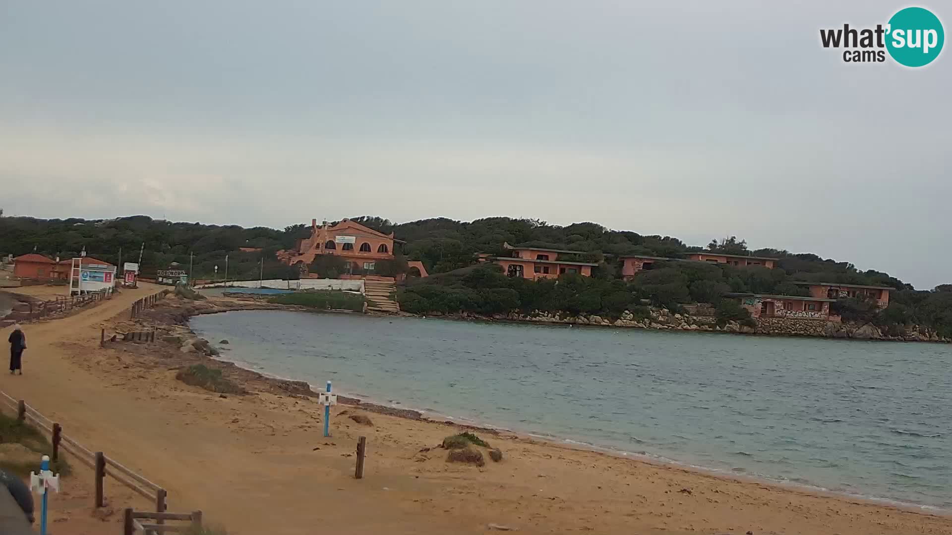 Porto Pollo spiaggia