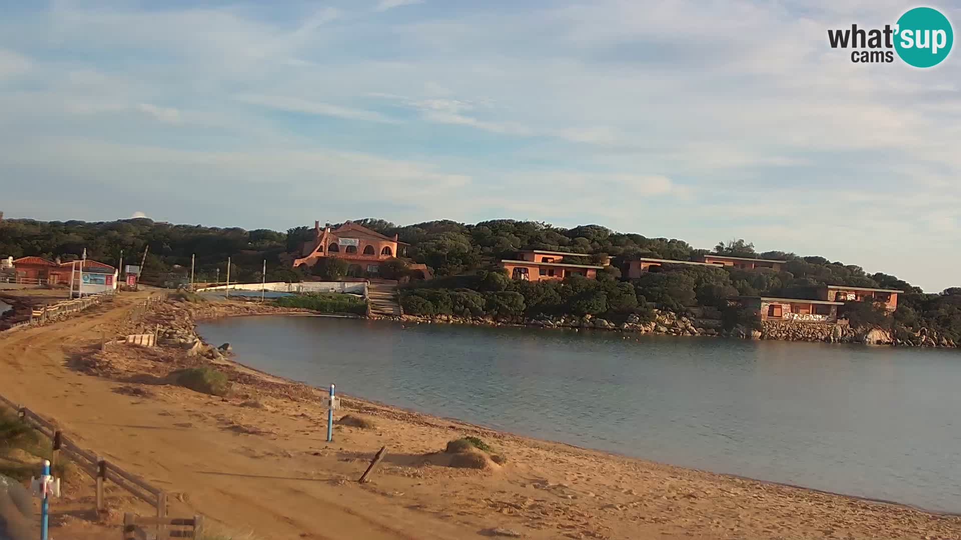 Porto Pollo spiaggia