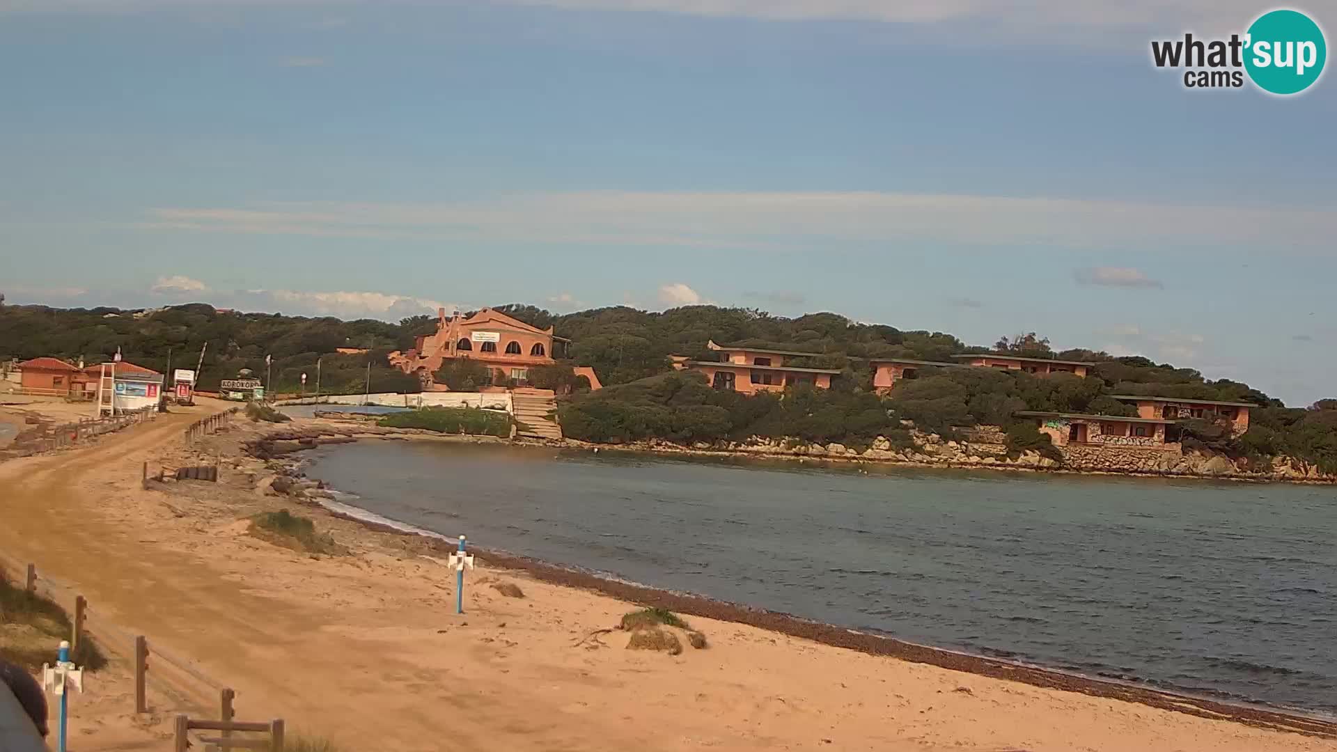 Porto Pollo spiaggia