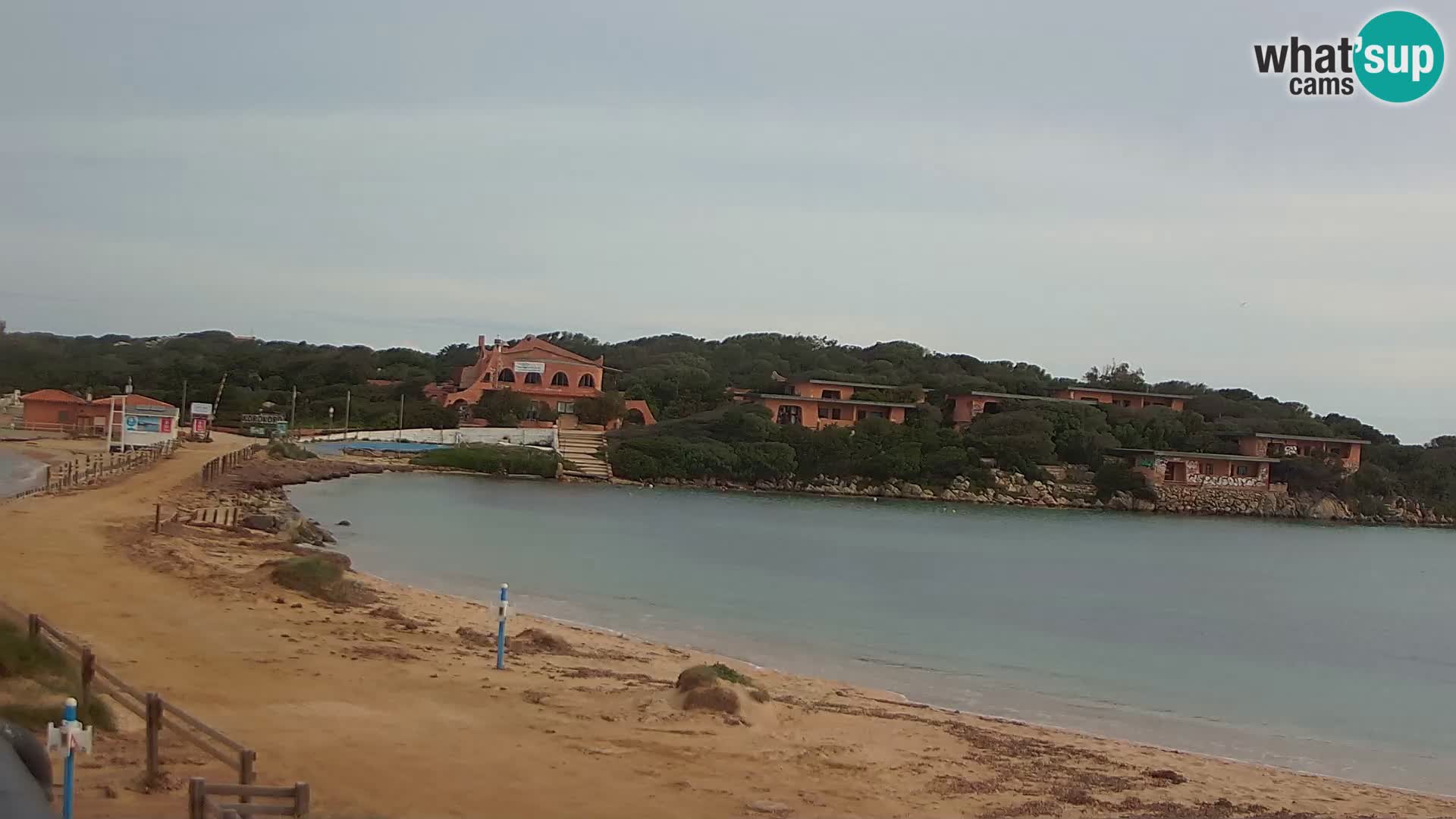 Porto Pollo spiaggia