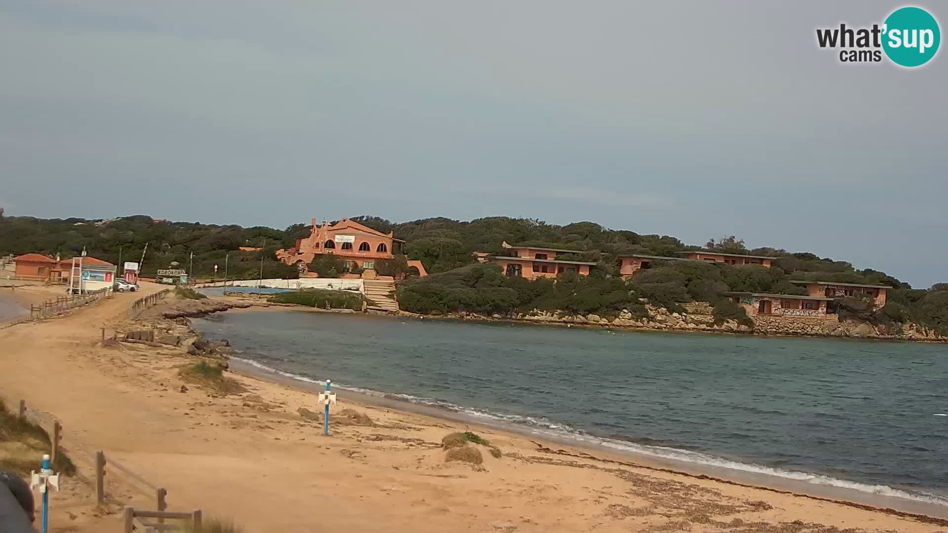 Porto Pollo spiaggia