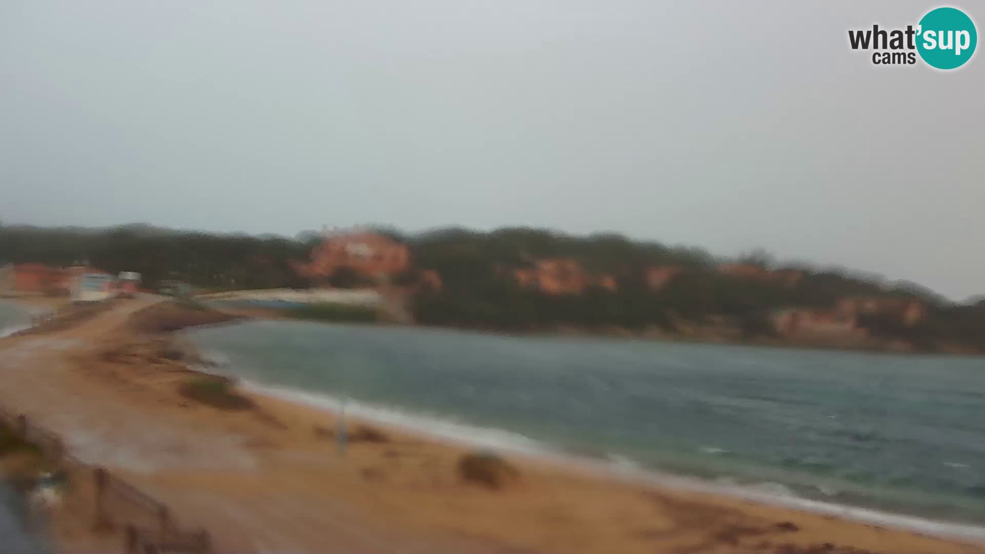 Porto Pollo spiaggia