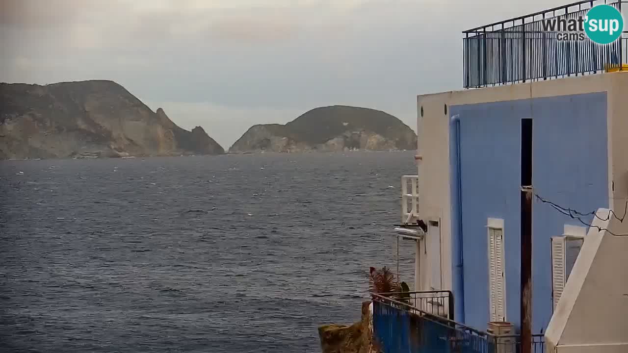 Isla de Ponza – puerto