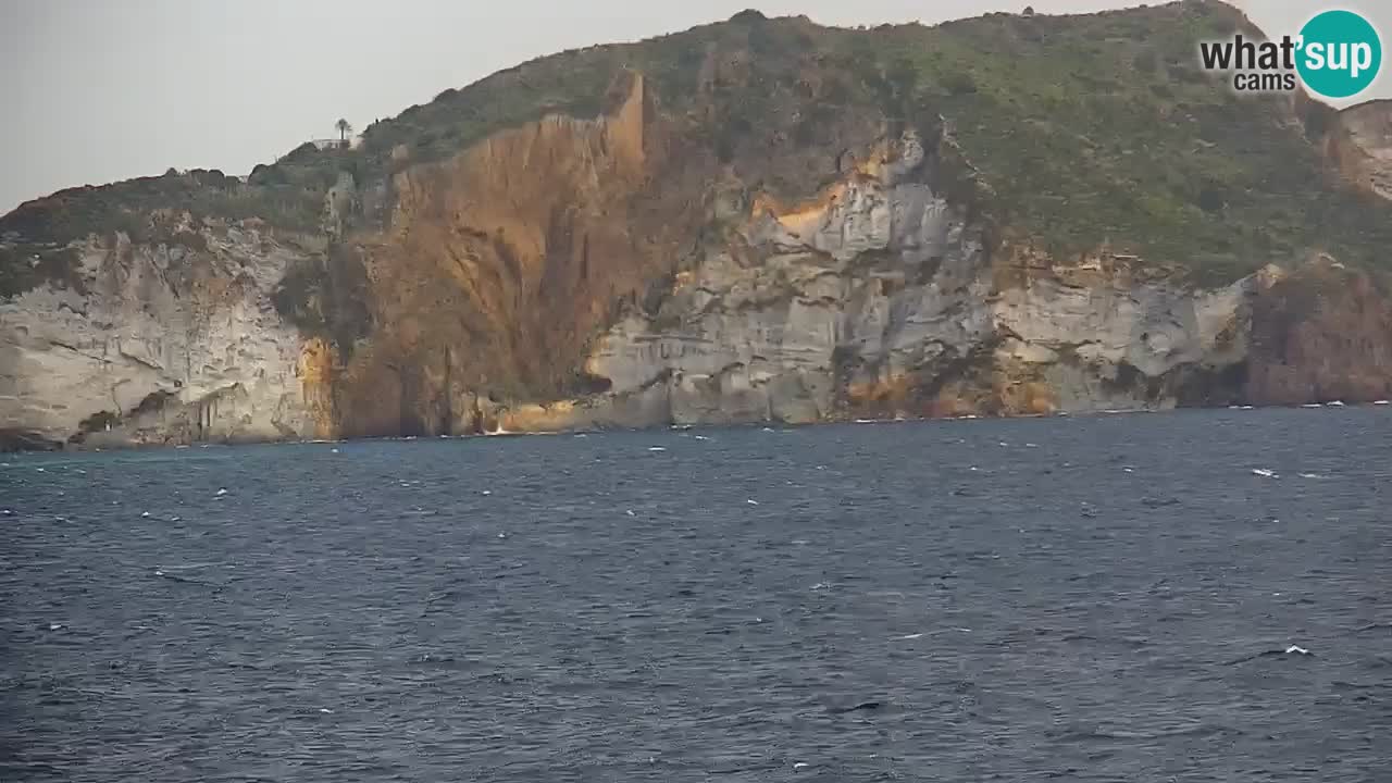 Insel Ponza webcam – Port