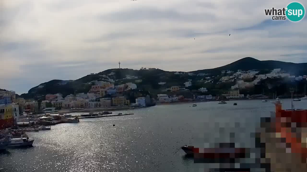 Insel Ponza webcam – Port
