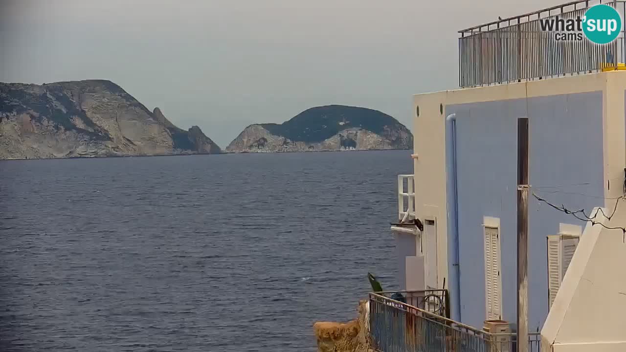 Island of Ponza – the port webcam live