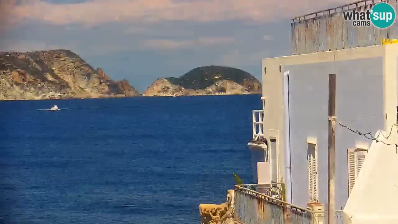 Island of Ponza – the port webcam live