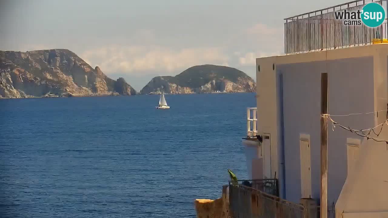 Otok Ponza spletna kamera Pogled na pristanišče