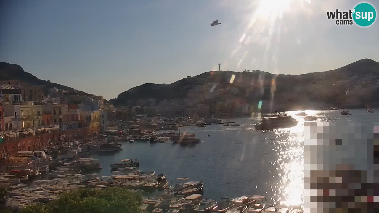 Isla de Ponza – puerto