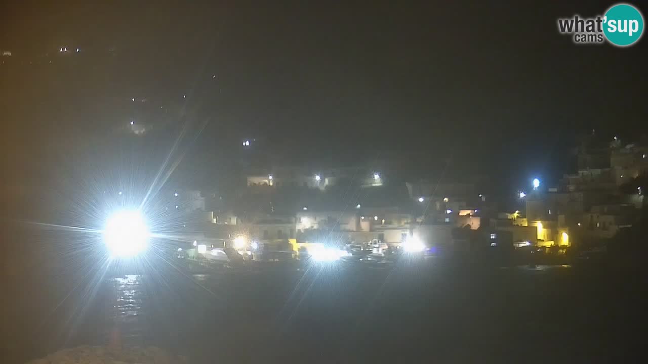 Insel Ponza webcam – Port