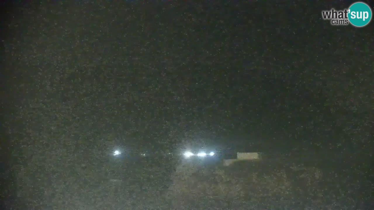 Ile de Ponza – Port