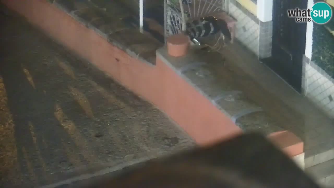 Otok Ponza kamera Pogled na pristanišče