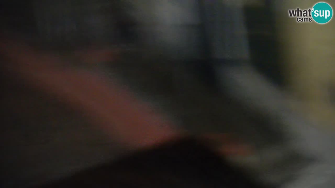 Isla de Ponza – puerto