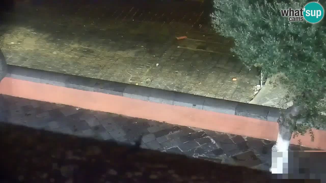 Insel Ponza webcam – Port