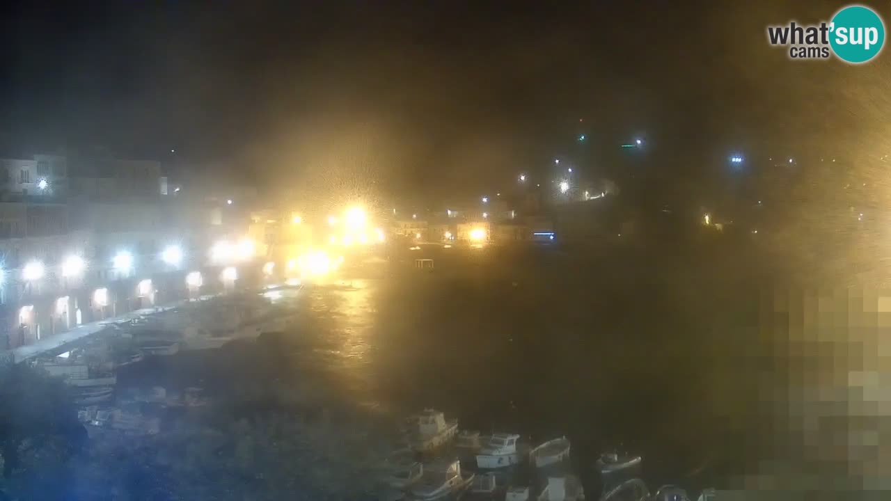 Ile de Ponza – Port