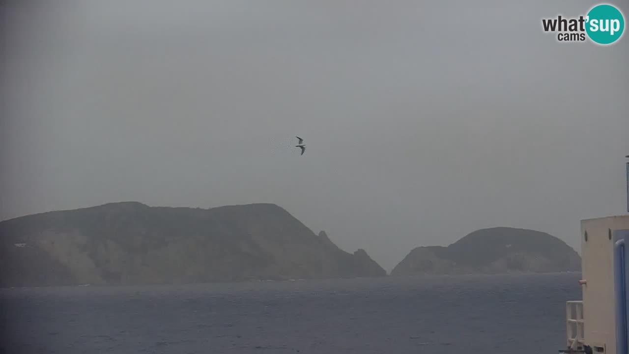 Otok Ponza web kamera Luka