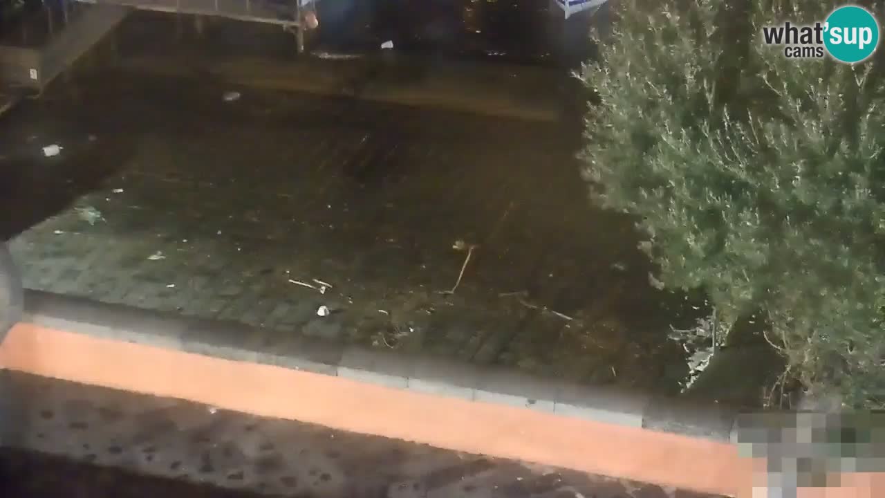 Isla de Ponza – puerto