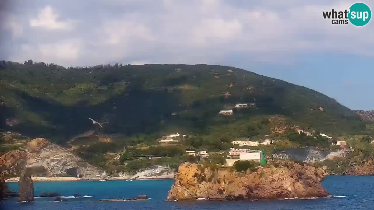 Isla de Ponza – puerto