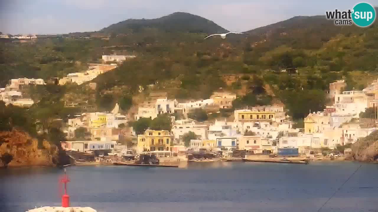 Ile de Ponza – Port