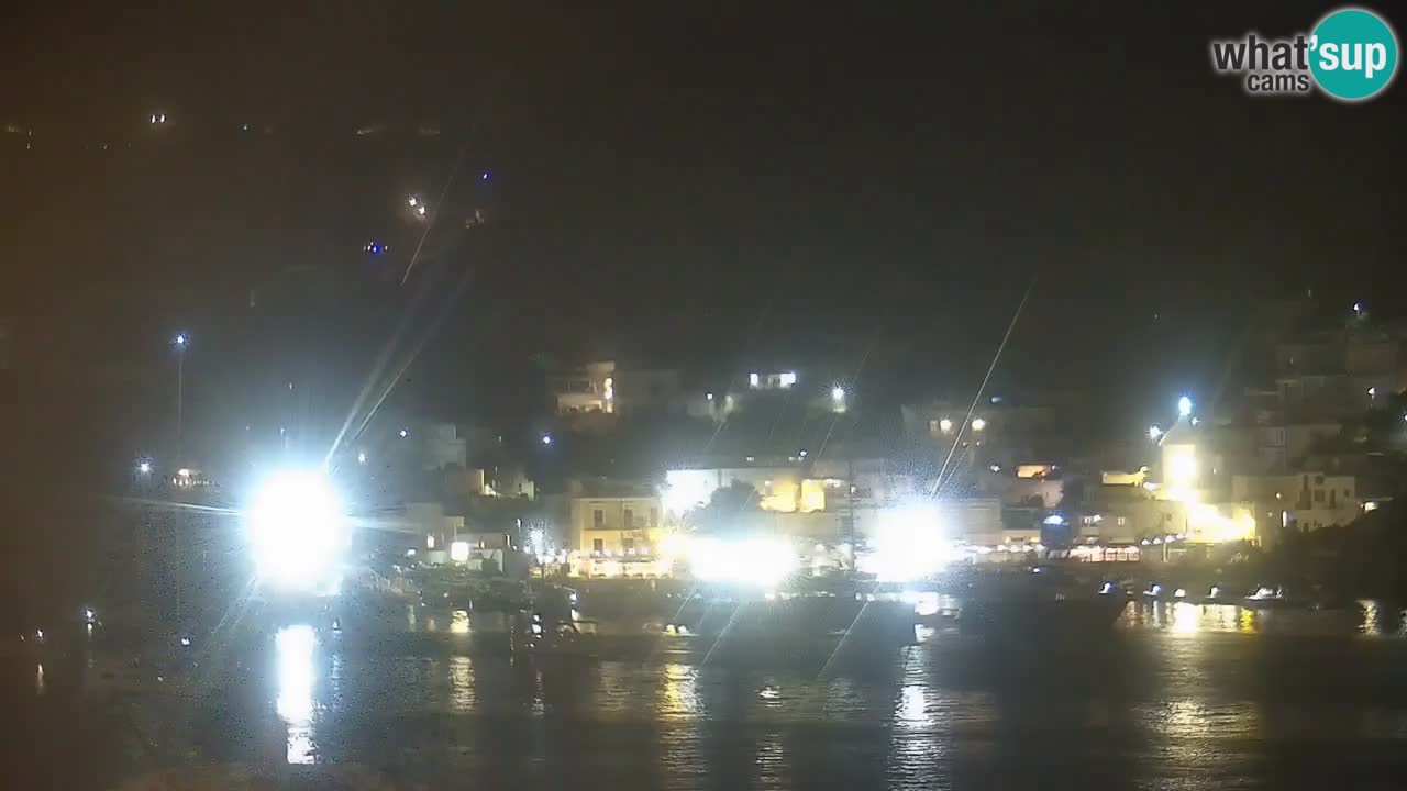 Insel Ponza webcam – Port
