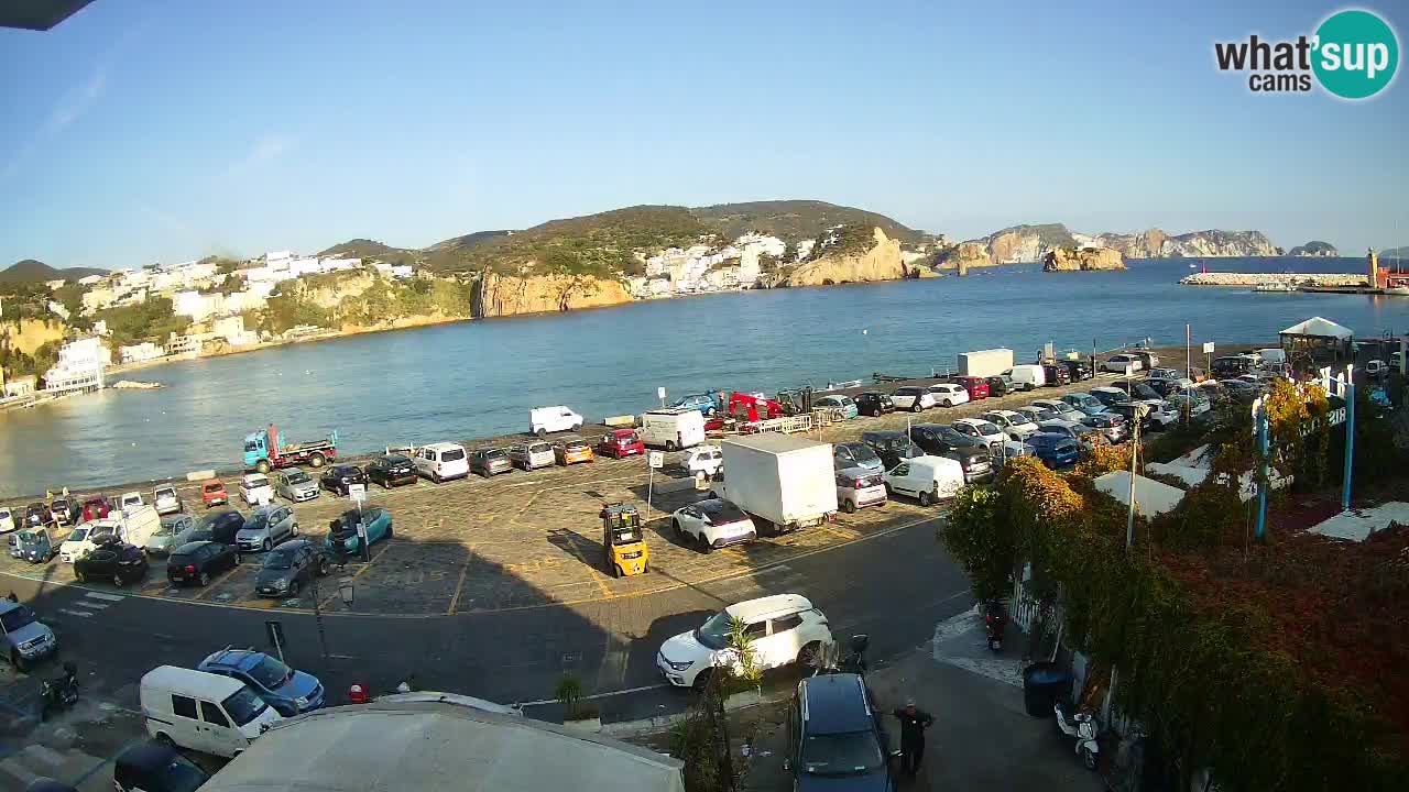 Insel Ponza Hafen webcam – Italien