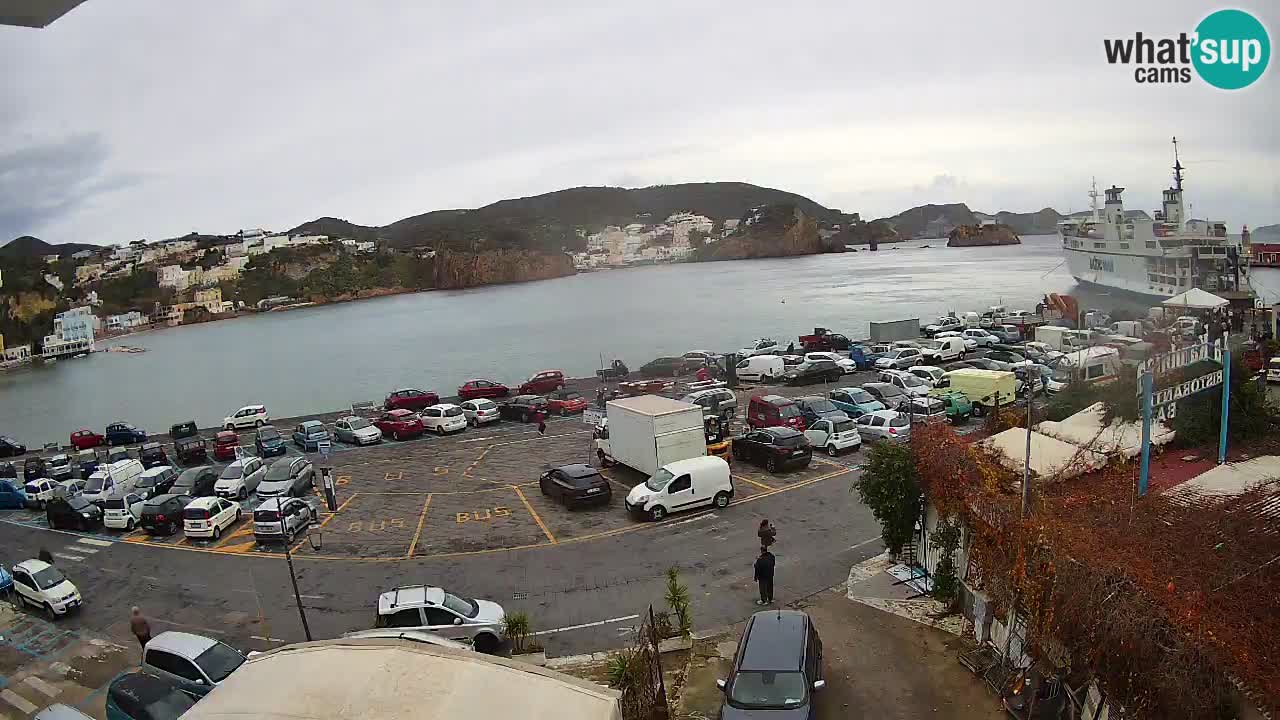 Insel Ponza Hafen webcam – Italien