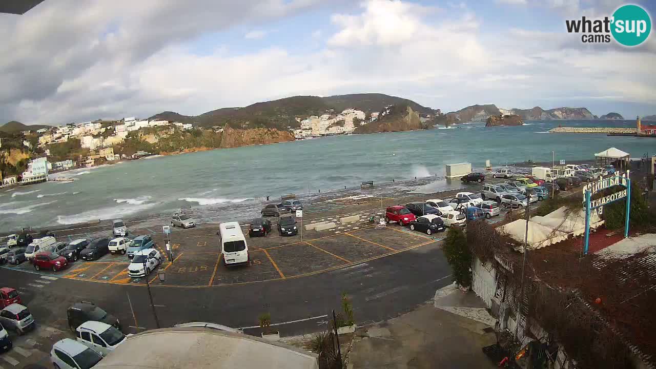 Insel Ponza Hafen webcam – Italien