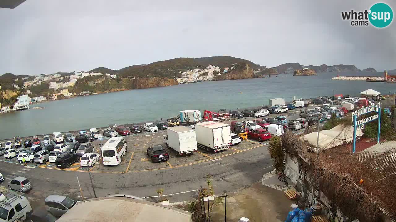 Insel Ponza Hafen webcam – Italien