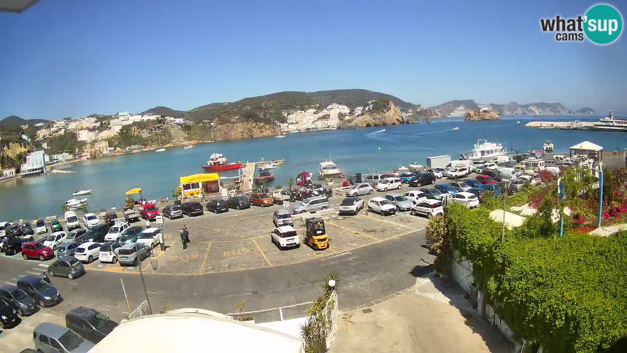 Insel Ponza Hafen webcam – Italien