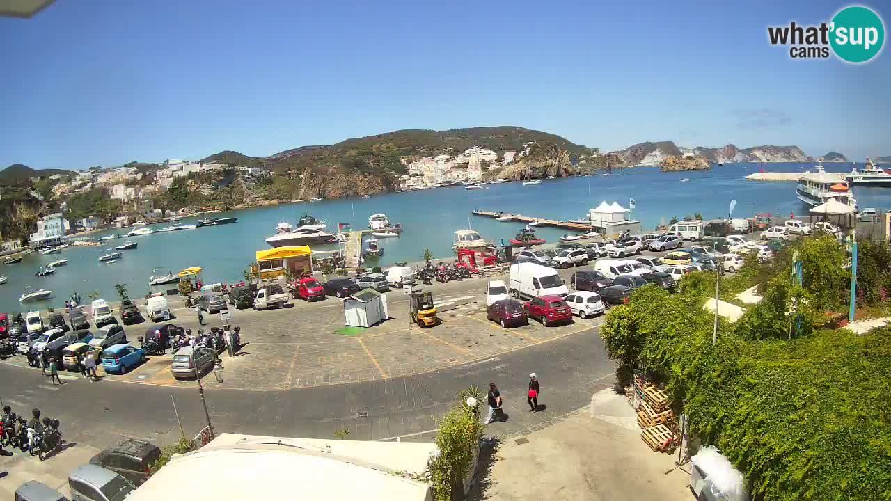 Insel Ponza Hafen webcam – Italien