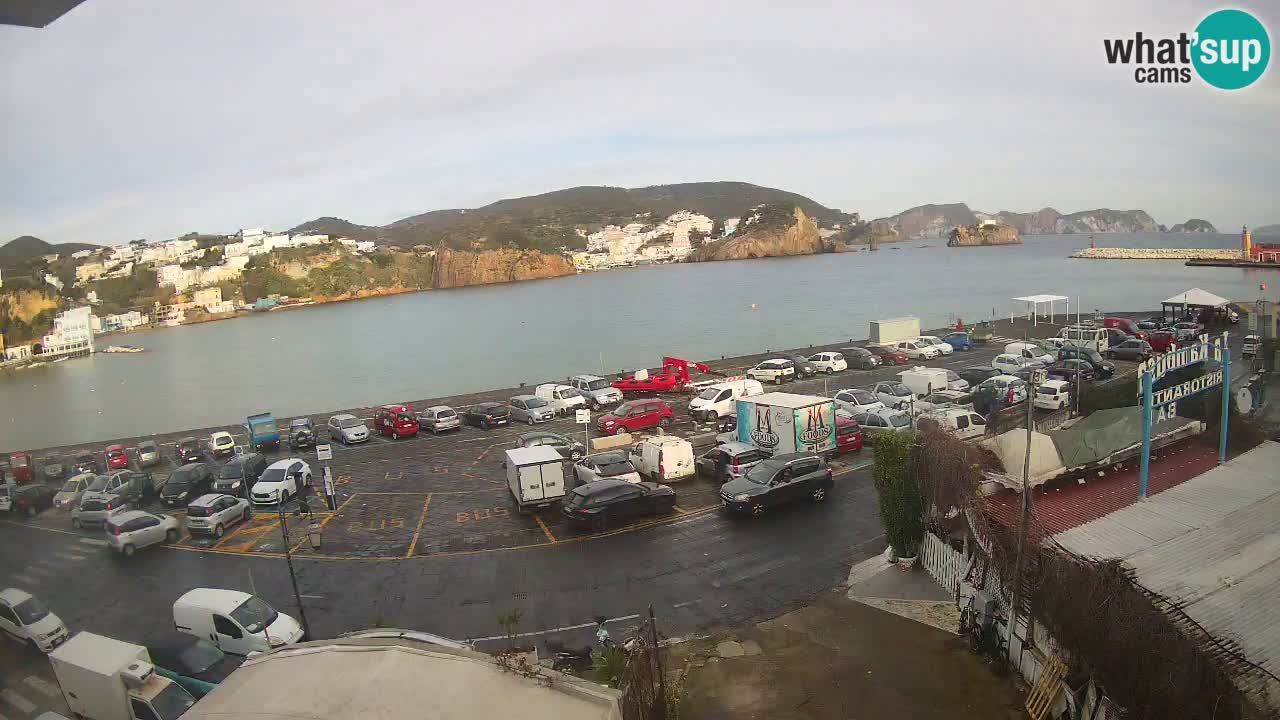 Insel Ponza Hafen webcam – Italien