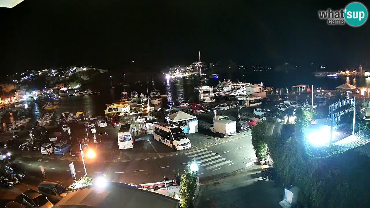 Insel Ponza Hafen webcam – Italien