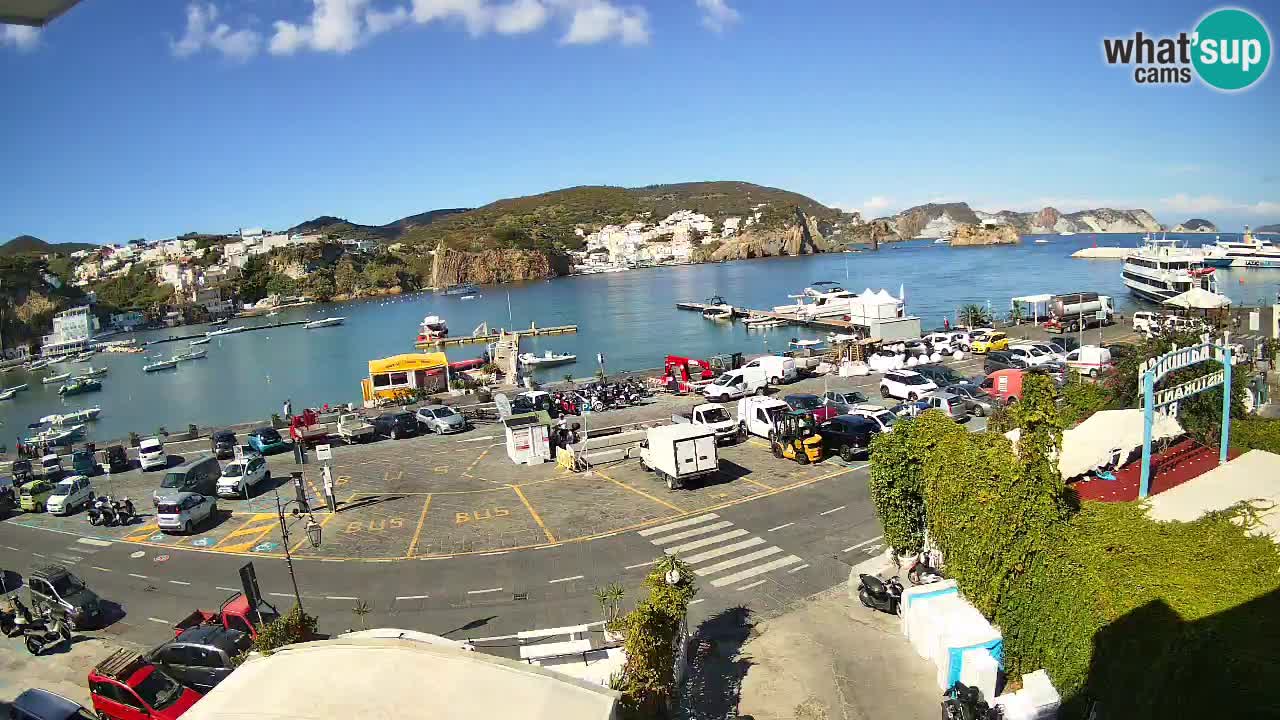 Insel Ponza Hafen webcam – Italien
