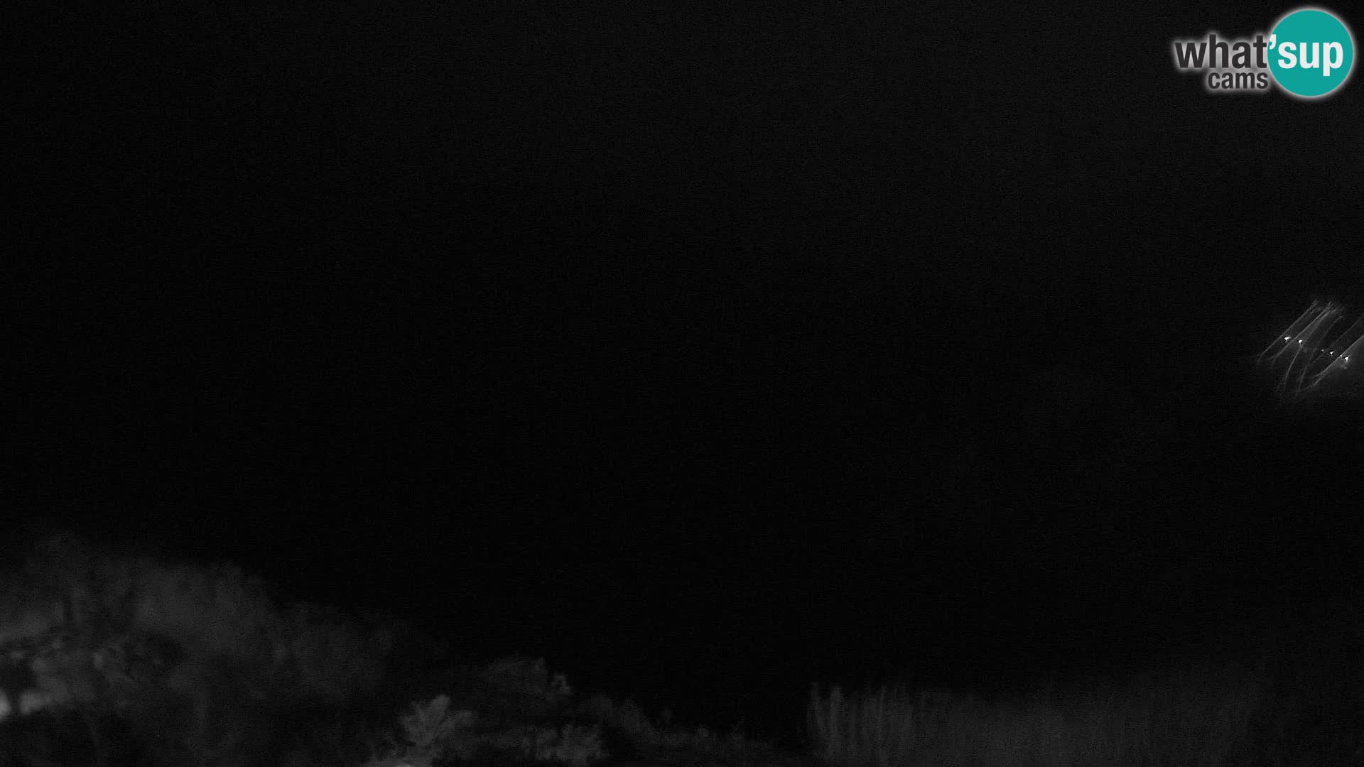 Camera en vivo Relais Solis Isla di Ponza