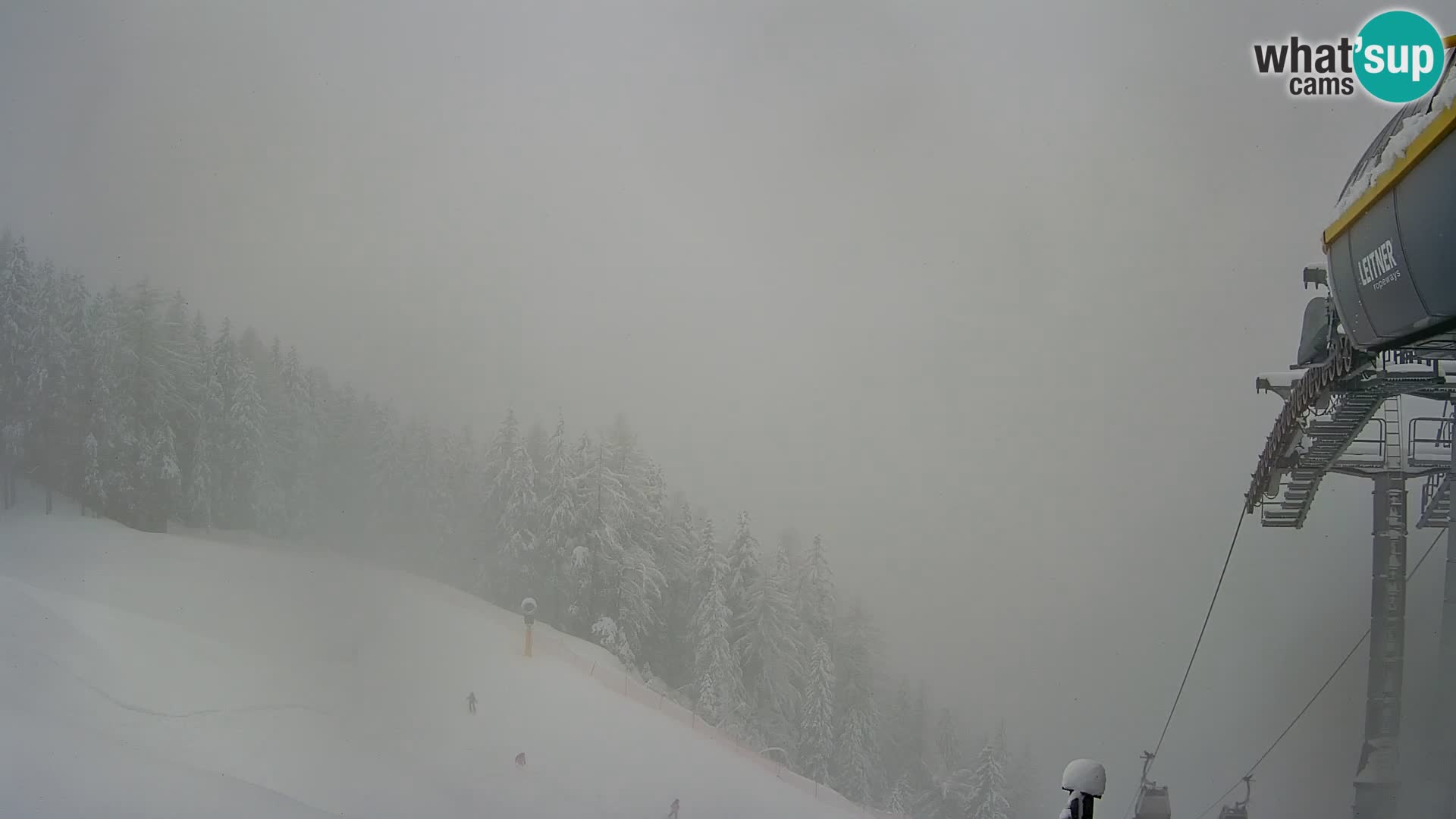 Gitschberg Jochtal SKI | Tanne Berg | Mühlbach