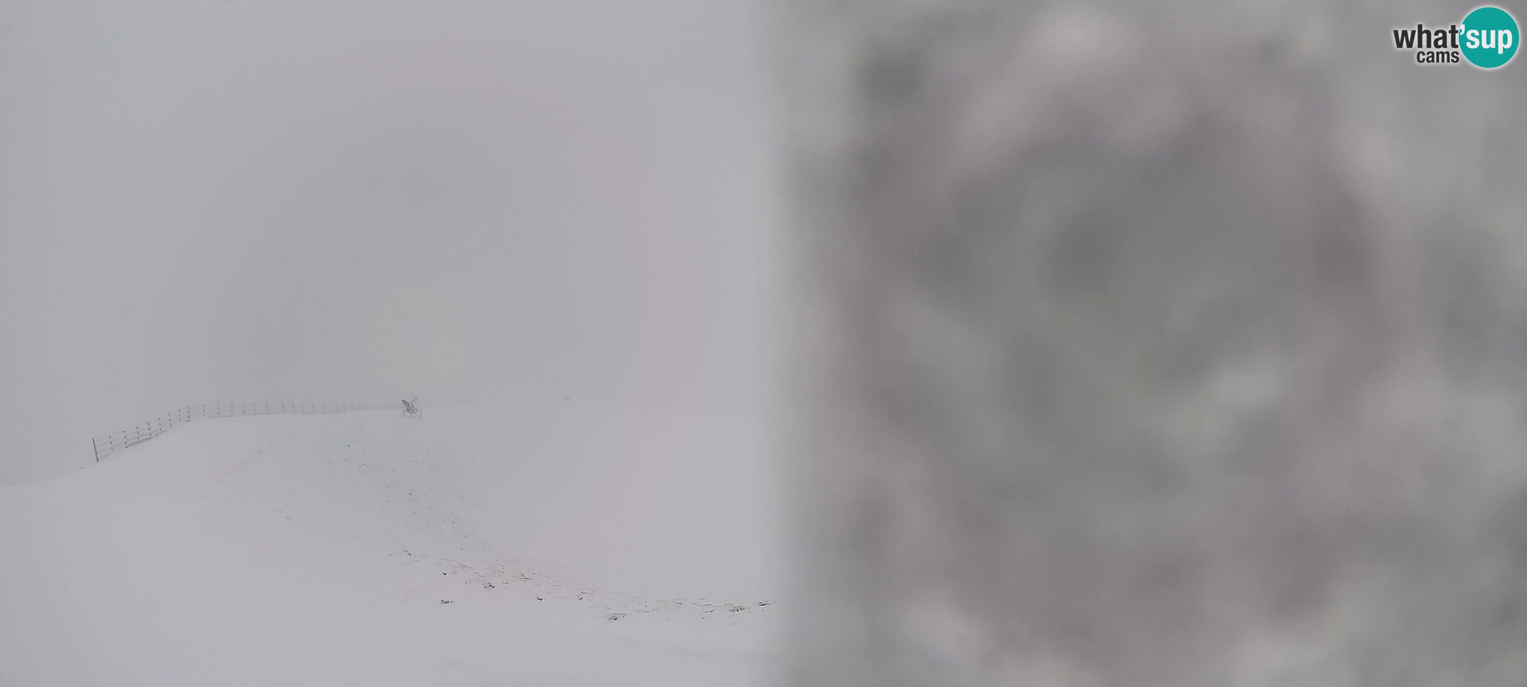 Webcam Gitschlift / telesilla Gitsch – Estación superior (2.512 m)