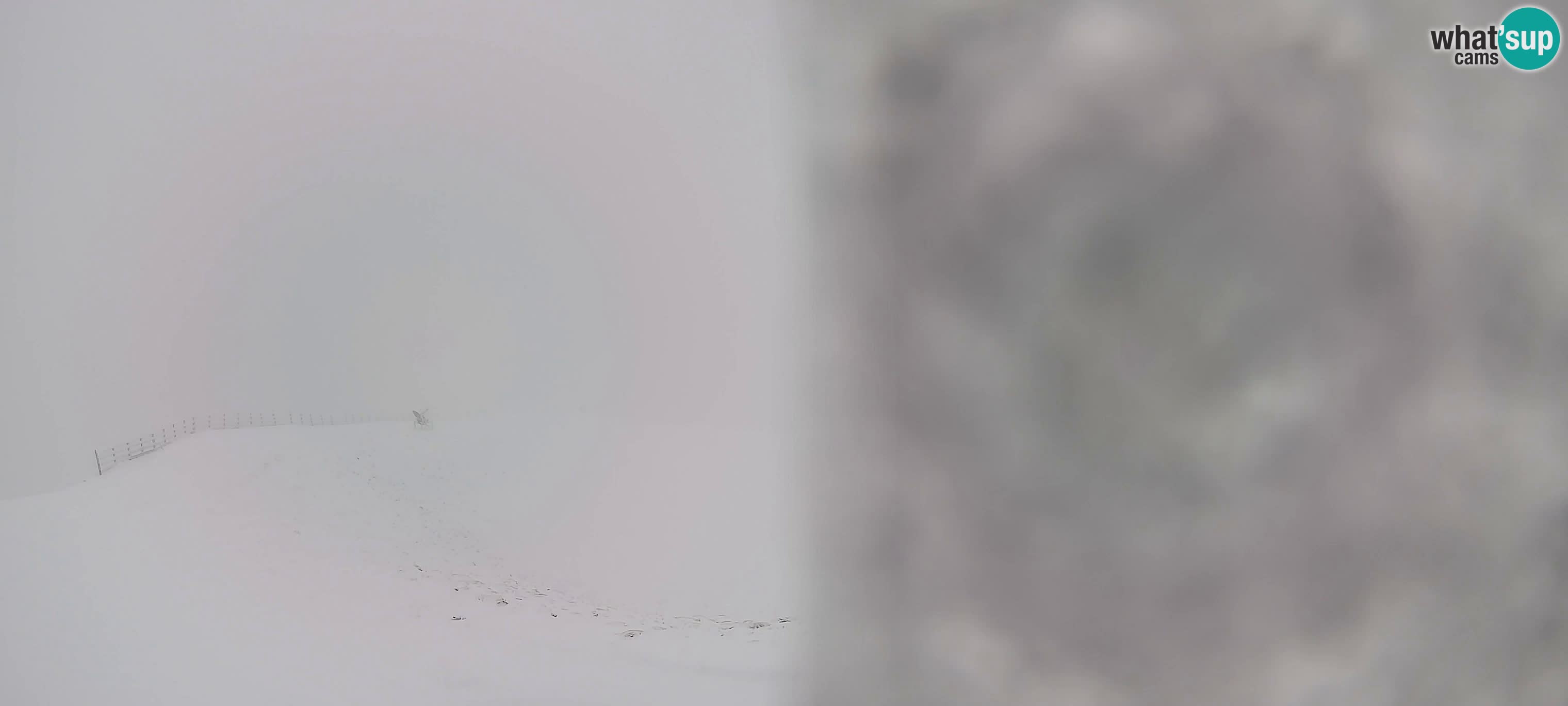 Webcam Gitschlift / telesilla Gitsch – Estación superior (2.512 m)