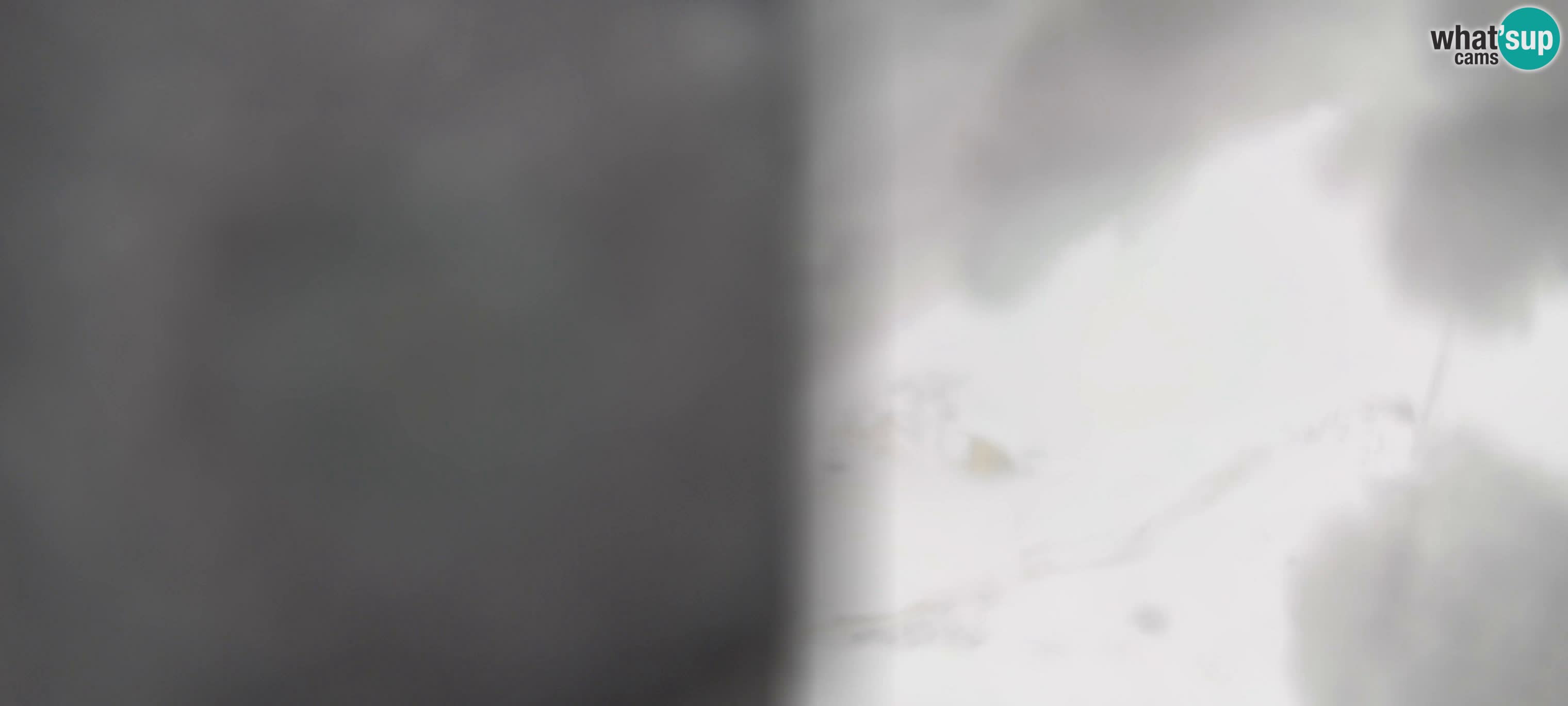 Webcam Gitschlift / Sessellift Gitsch – Bergstation (2.512 m)