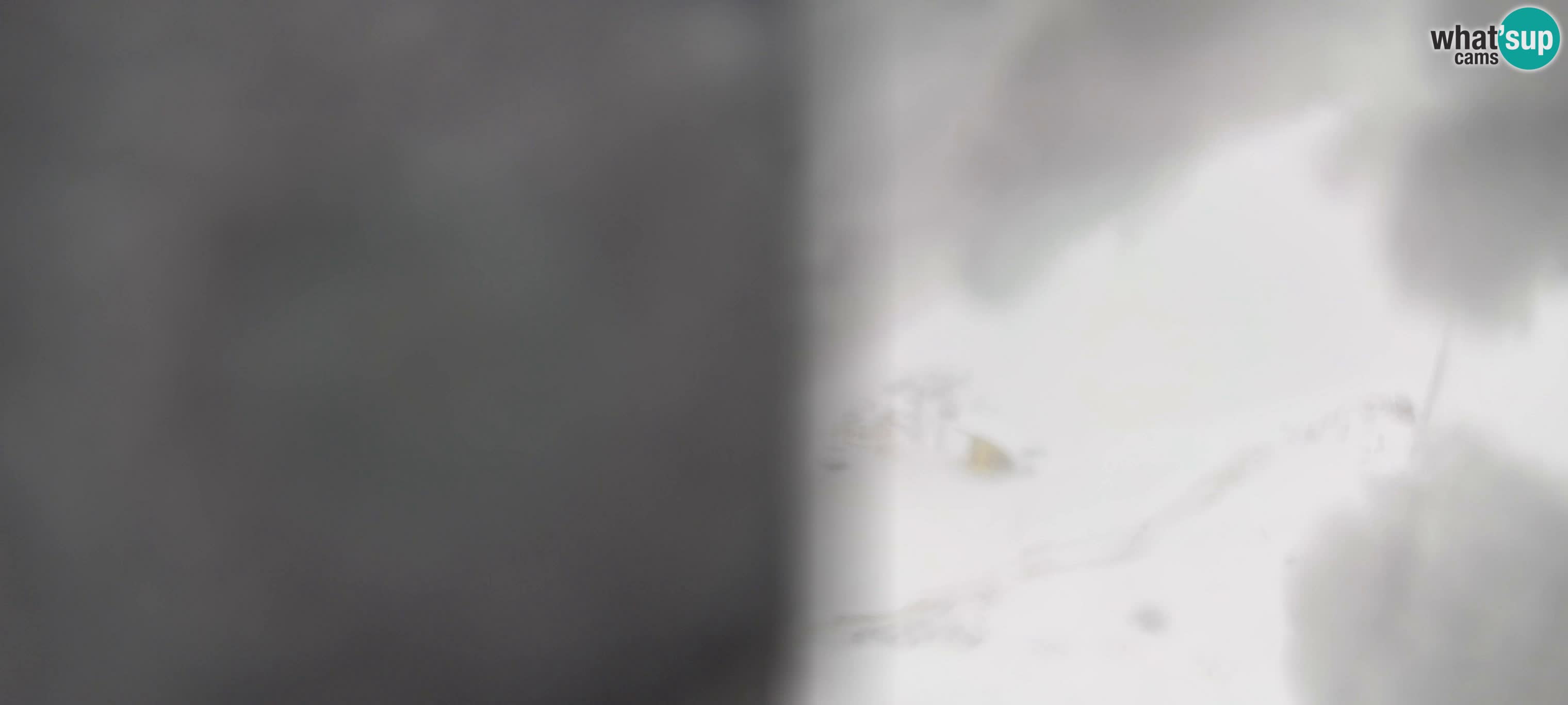 Webcam Gitschlift / seggiovia Gitsch