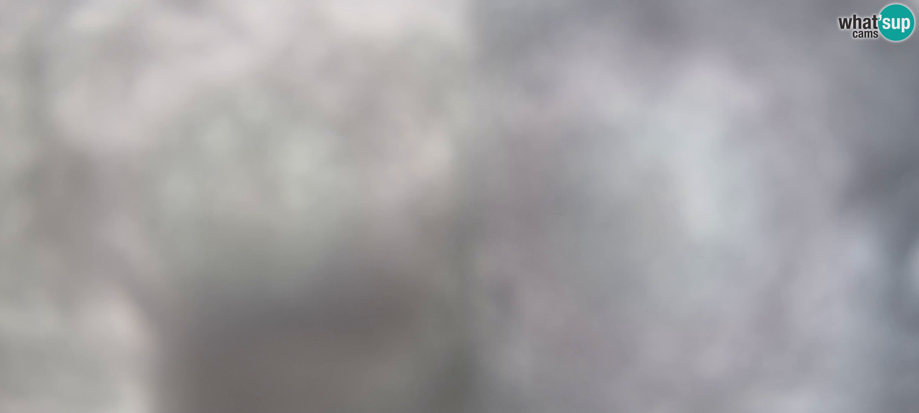 Webcam Gitschlift / telesilla Gitsch – Estación superior (2.512 m)