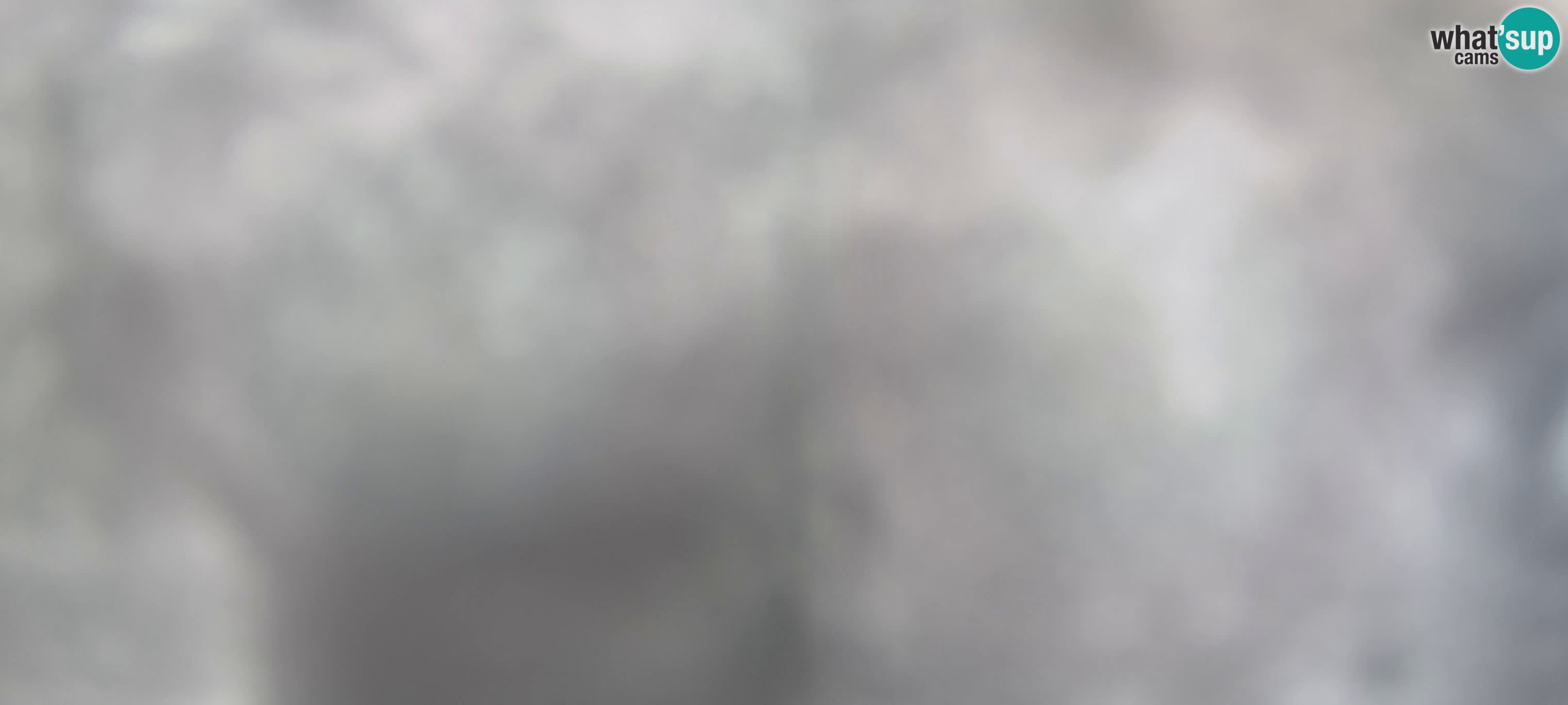 Webcam Gitschlift / seggiovia Gitsch